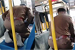 Haveri: KSRTC driver sparks controversy after stopping bus mid-journey to offer namaz